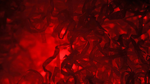 taipan78-background.jpg