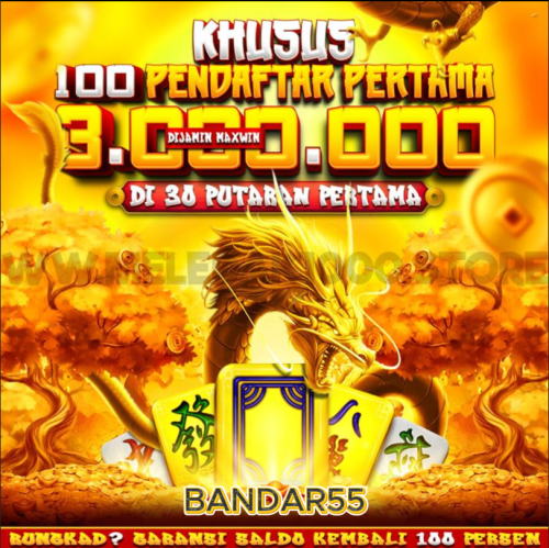 bandar-1.png