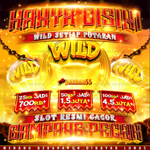 wildspin.png